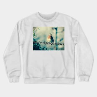 ROBIN ON THE WIRE Crewneck Sweatshirt